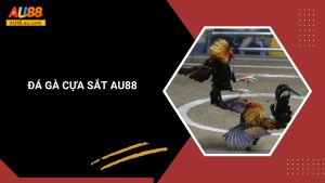 Đá Gà Cựa Sắt Au88: Cơ Hội Kiếm Tiền Lớn Cho Các Tay Chơi 2 Đá Gà Cựa Sắt Au88: Cơ Hội Kiếm Tiền Lớn Cho Các Tay Chơi