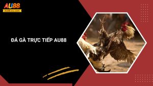 Đá Gà Trực Tiếp Au88: Kịch Tính Sân Đấu, Thắng Lớn Mỗi Ngày 3 Đá Gà Trực Tiếp Au88: Kịch Tính Sân Đấu, Thắng Lớn Mỗi Ngày